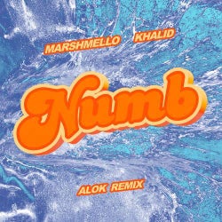 Numb (Alok Remix (Extended))