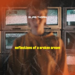 Reflections of a Broken Dream