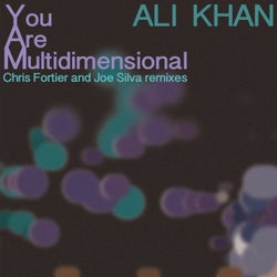 You Are Multidimensional Remixes