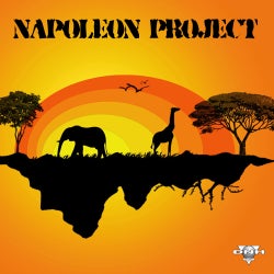 Napoleon Project