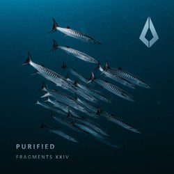 Purified Fragments XXIV