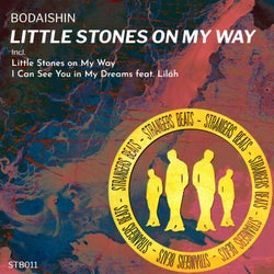 Portada de Little Stones on My Way