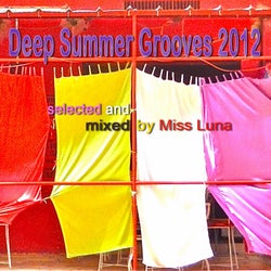 Deep Summer Grooves 2012
