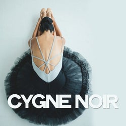 Cygne noir (House Music In France)