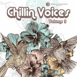 Chillin' Voices, Vol. 3 (Beautiful and Relaxing Vocal Lounge Music)