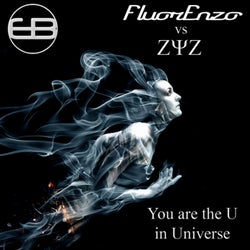 You Are The U In The Universe