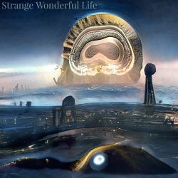 Strange Wonderful Life