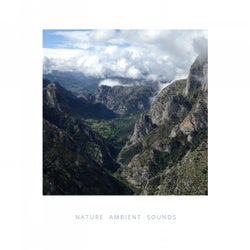 Nature Ambient Sounds for Meditation