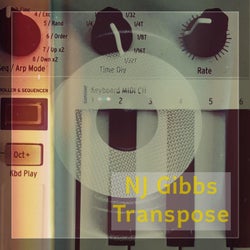 Transpose (Radio Edit)