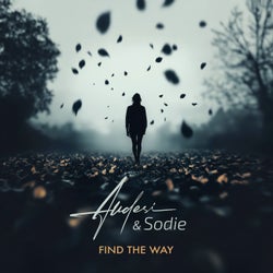 Find the Way