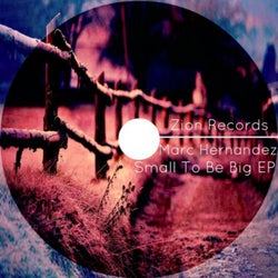 Small to be Big EP