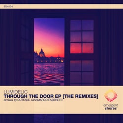 Through the Door [The Remixes]