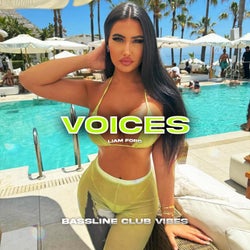 Voices (feat. Liam Ford)