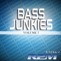 Bass Junkies, Vol. 7