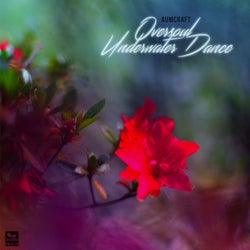 Oversoul | Underwater Dance
