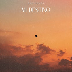 Mi Destino