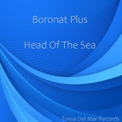 Head Of The Sea