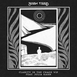 Clarity In The Chaos (VIP)