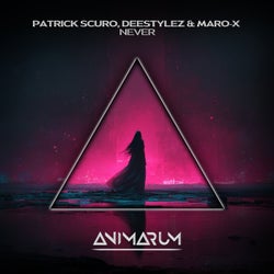 Never (Extended Mix)
