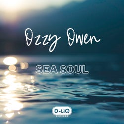 Sea Soul
