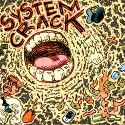 System Crack (feat. MC Killo Killo)
