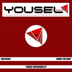 Yousel Experience
