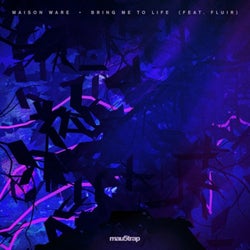 Bring Me To Life (Club Mix) (feat. Fluir)