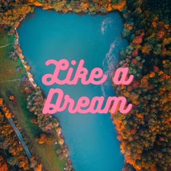 Like a Dream