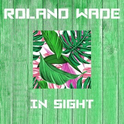 In Sight