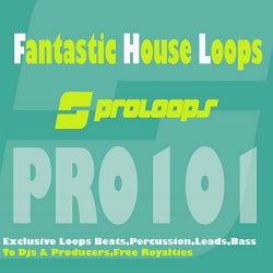 Fantastic House Loops