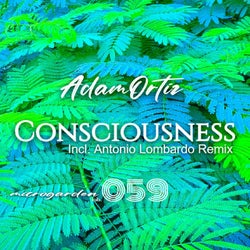 Consciousness EP