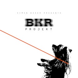 BKR Projekt Feb Chart