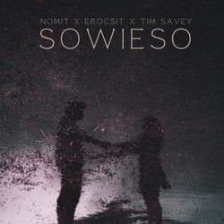 Sowieso