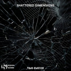 Shattered Dimensions