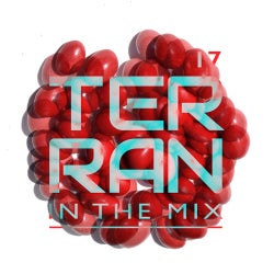 017 DJ Terran in the mix