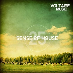 Sense Of House Vol. 25