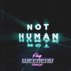 Not Human - Fury Weekend Remix