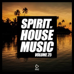 Spirit Of House Music Volume 25