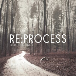 Re:Process - Tech House Vol. 5