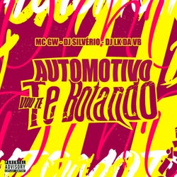 Automotivo Vou te Botando