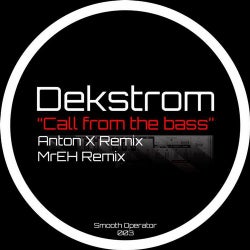 Call from the bass (Anton X remix)