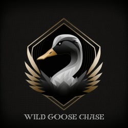 Wild Goose Chase