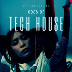 Gods of Tech House, Vol. 2