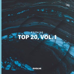 EVOLVE Top 20, Vol. 1