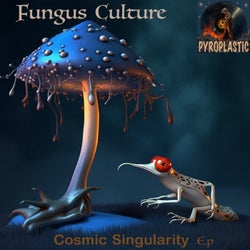 Cosmic Singularity