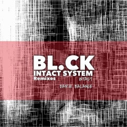 Intact System (Remixes)