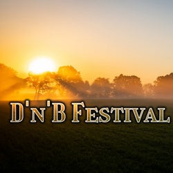 D'n'B Festival