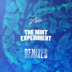 THE MiNT EXPERiMENT Remixes