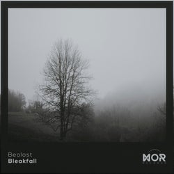 Bleakfall