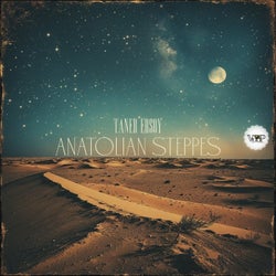 Anatolian Steppes